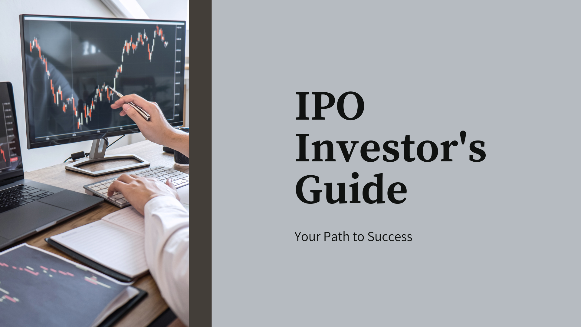 IPO Investor’s Guide